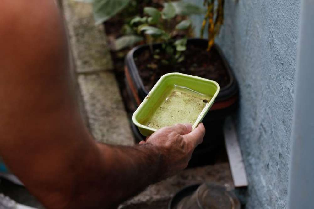 Casos de dengue na cidade de São Paulo chegam a 7.230