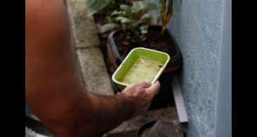 Casos de dengue na cidade de São Paulo chegam a 7.230