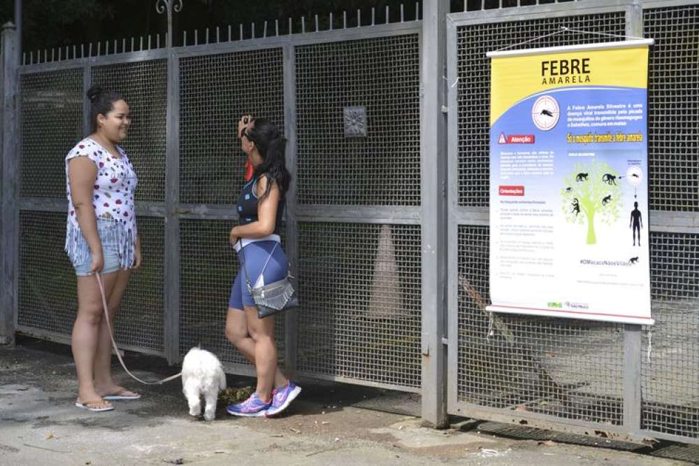 SP volta a registrar mortes por febre amarela após dois anos sem casos