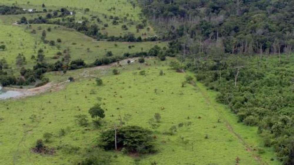 BB aceitará crédito de carbono em leilão de imóveis rurais