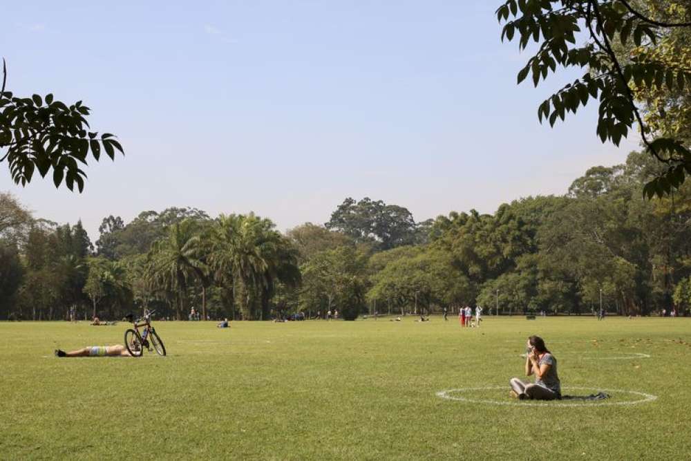 São Paulo celebra Semana do Meio Ambiente com atividades diversas