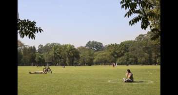 São Paulo celebra Semana do Meio Ambiente com atividades diversas