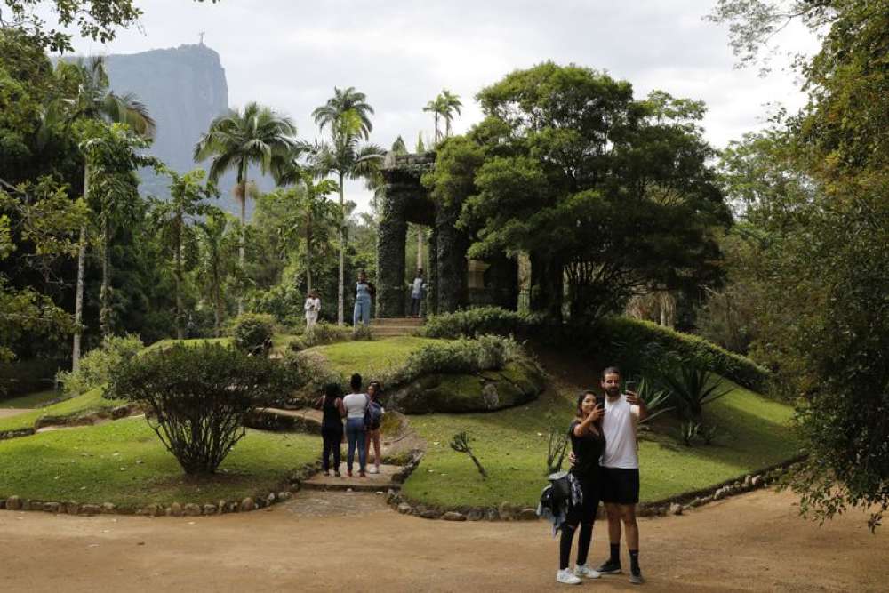 Painel Conserva Flora facilita acesso à flora ameaçada de extinção