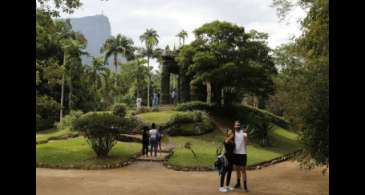 Painel Conserva Flora facilita acesso à flora ameaçada de extinção