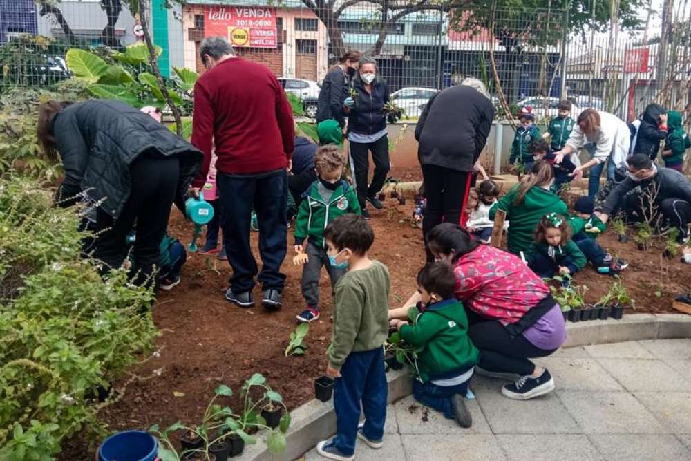 Alimentação escolar: projetos brasileiros são exemplo de boas práticas