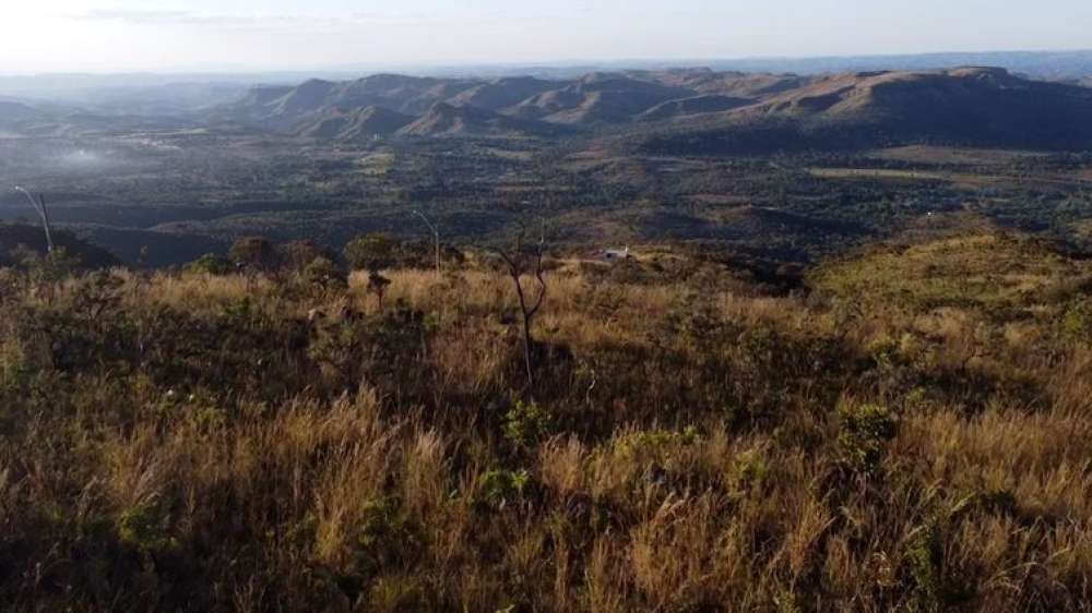 Preservação do Cerrado no DF é tema do Caminhos da Reportagem