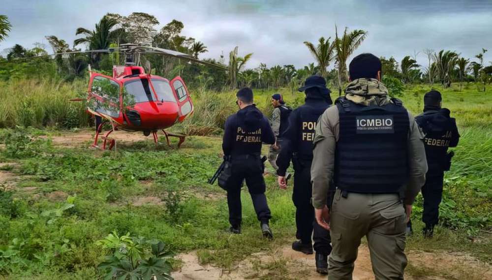 Pesquisa traça conexões entre narcotráfico e crimes ambientais no país