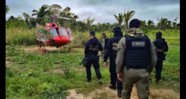 Pesquisa traça conexões entre narcotráfico e crimes ambientais no país