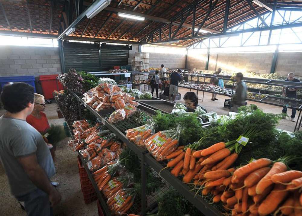 Preços da cenoura e do mamão caem nos principais mercados atacadistas