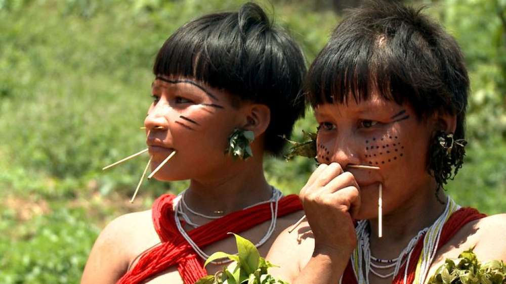 Mais da metade dos yanomami vive em risco de saúde