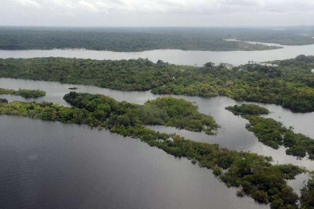 Narcotráfico potencializa destruição ambiental e violação de direitos