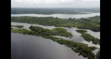 Narcotráfico potencializa destruição ambiental e violação de direitos