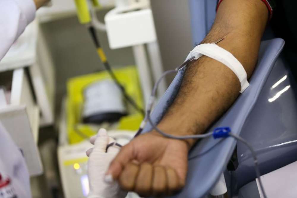 Doações de sangue e plaquetas para o Inca crescem 6,5%