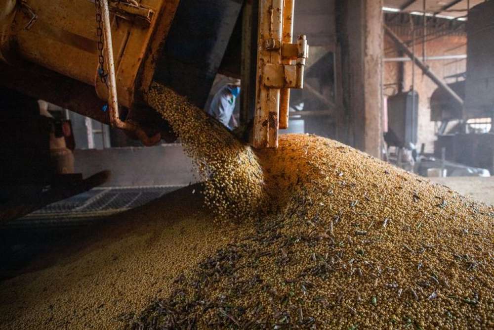 Ipea revisa crescimento do PIB agro para 2023 de 11,6% para 13,2%