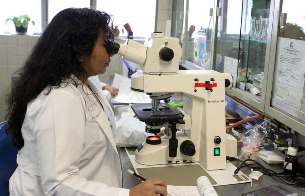 Prêmio chama atenção para desafios enfrentados por mulheres cientistas