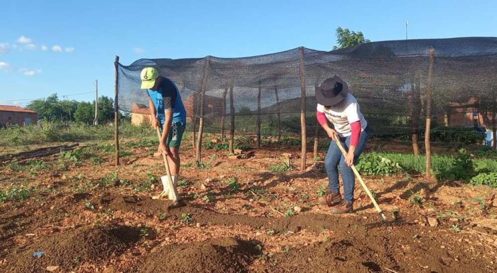 Trabalhadores pedem redução de juros para produzir alimentos no Brasil