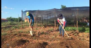 Trabalhadores pedem redução de juros para produzir alimentos no Brasil