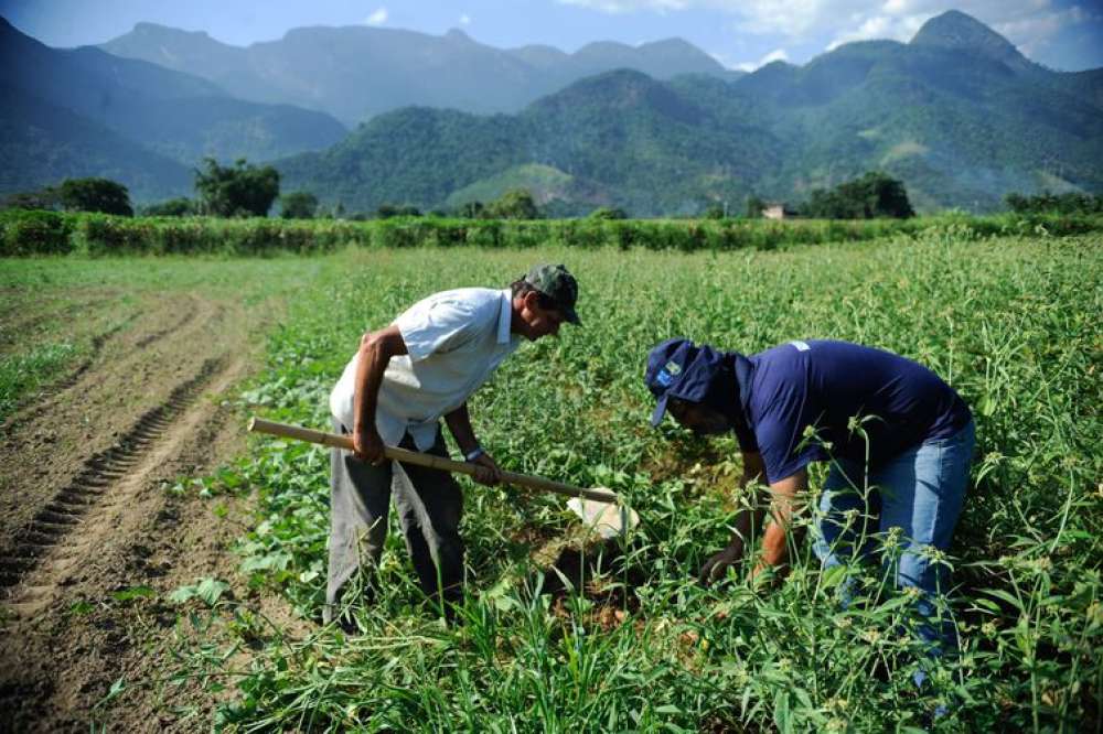 Agricultura familiar é 8ª maior produtora de alimentos do mundo