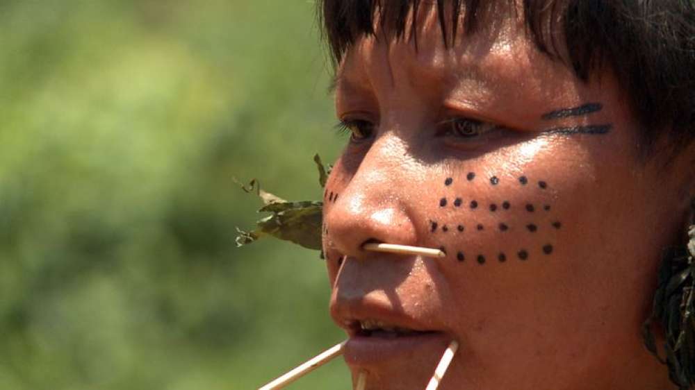 Curtas-metragens feitas por yanomami serão mostradas em Veneza