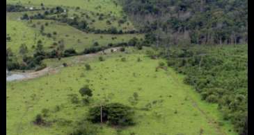 Aberto o prazo para entrega da Declaração do Imposto Territorial Rural