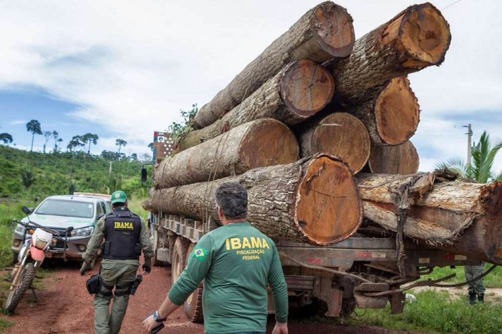 Governo autoriza contratação de 257 servidores para o Ibama