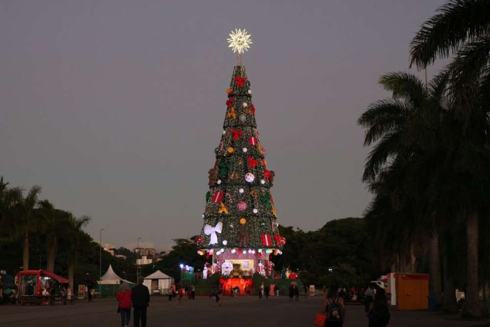 Parque Villa-Lobos, em SP, exibe Árvore de Natal com 52 m de altura