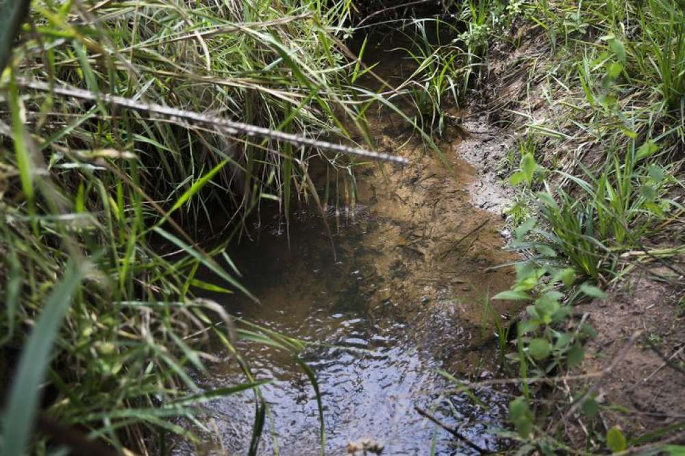 Lei inclui recuperação de nascentes na legislação ambiental