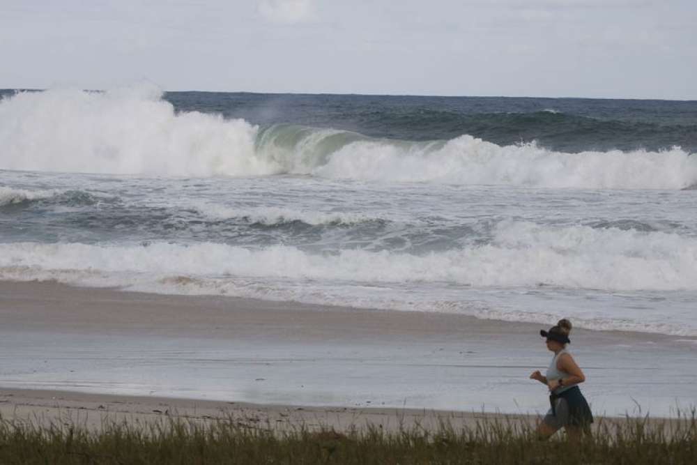 SP Ocean Week 2023 chama atenção para conhecimento dos mares