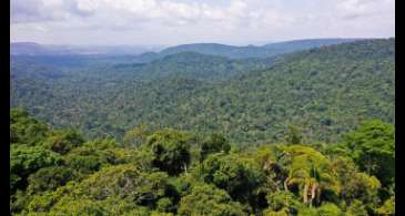 Festivais Dia da Amazônia alerta para defesa dos biomas brasileiros