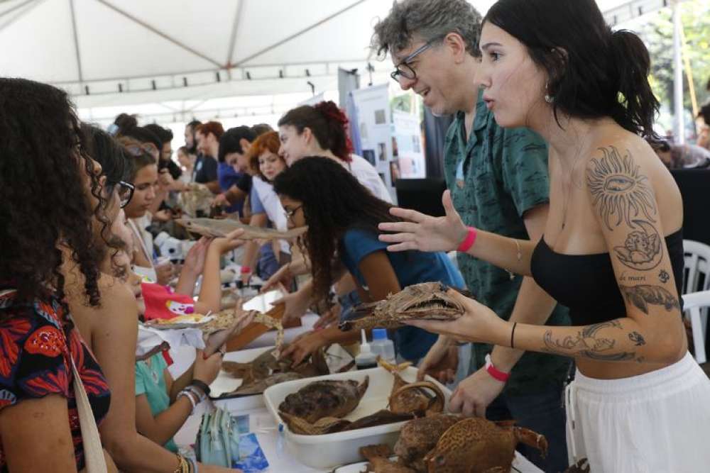 Festival Museu Nacional Vive leva público à Quinta da Boa Vista