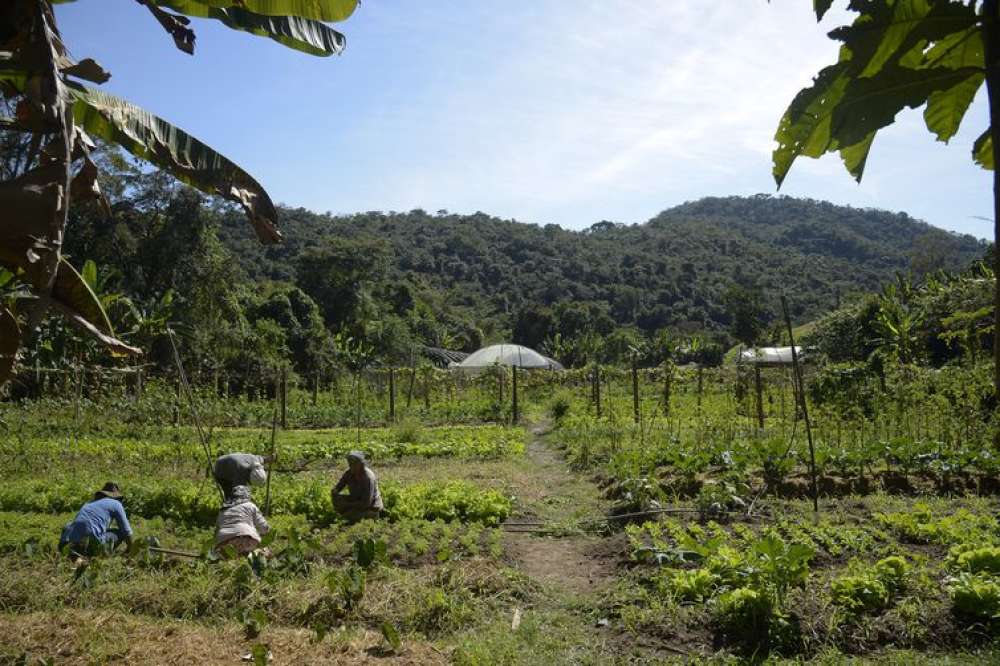 Lei institui política de empreendedorismo para jovens no campo