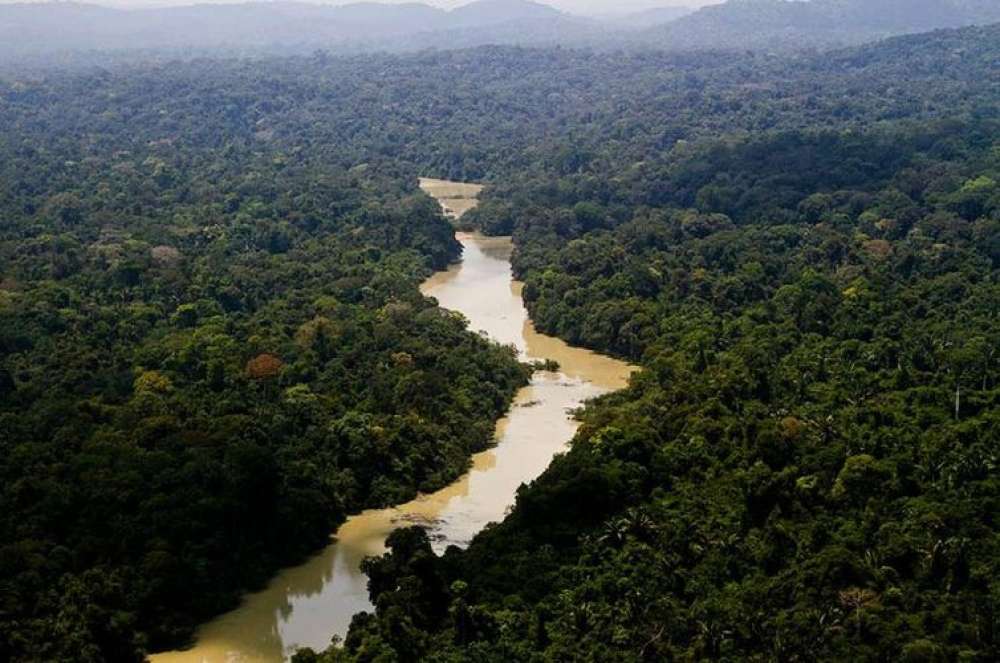 Alertas de desmatamento na Amazônia caem 66% em agosto