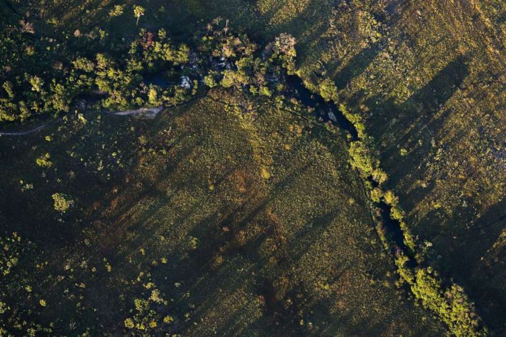 Desmatamento do Cerrado ameaça segurança hídrica de todo o Brasil