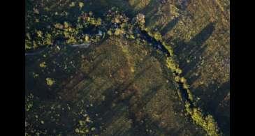 Desmatamento do Cerrado ameaça segurança hídrica de todo o Brasil