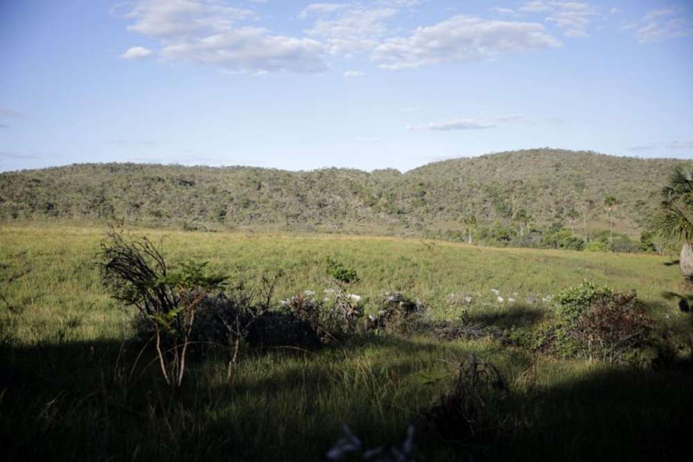 Campeãs em desmatamento, terras privadas têm 62% do Cerrado nativo 