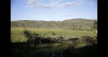 Campeãs em desmatamento, terras privadas têm 62% do Cerrado nativo 