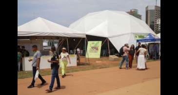 Feira dos Povos do Cerrado oferece diversidade de produtos do bioma