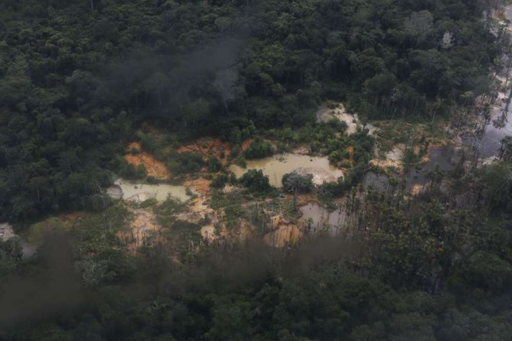 Polícia Federal reprime contrabando e venda de ouro venezuelano