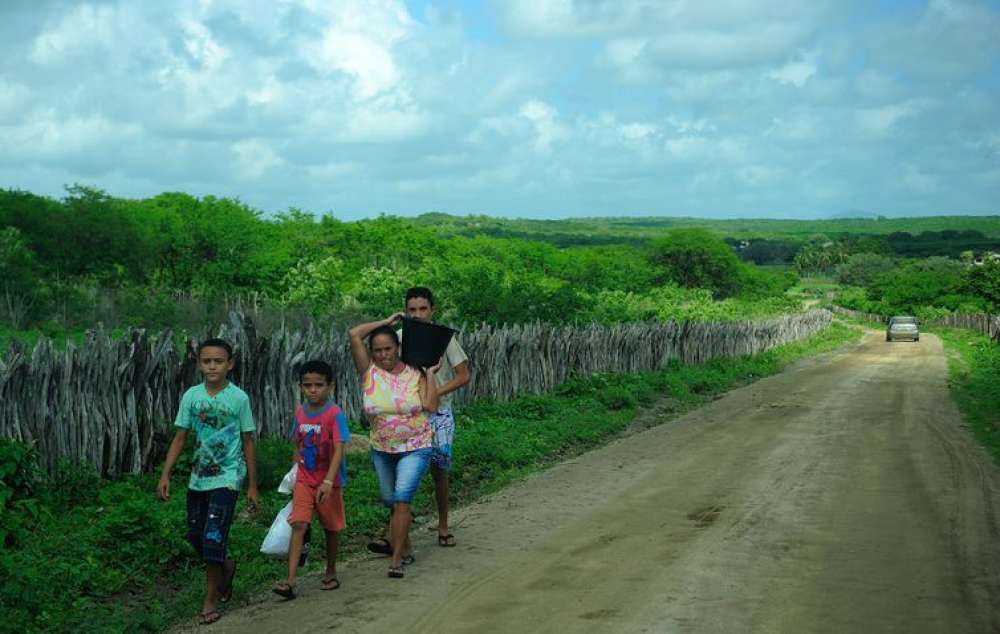 Programa Quintais Produtivos fortalece autonomia de mulheres do campo