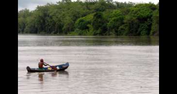 Amazônia Legal terá recursos para projetos de bioeconomia