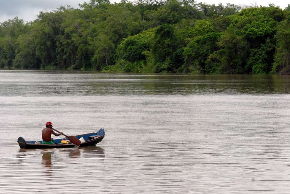 Amazônia Legal terá recursos para projetos de bioeconomia