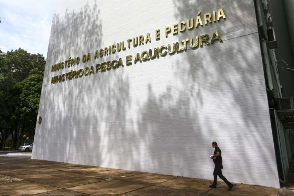 Oito lotes de café são apreendidos com presença de impurezas