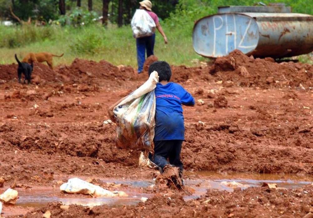 Justiça condena Cargill por contribuir com rede de trabalho infantil