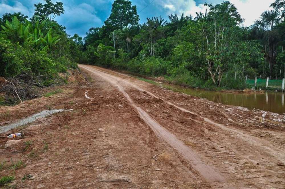 Desmatamento na Amazônia cai em setembro, aponta o Inpe