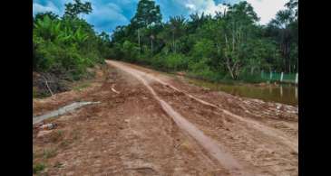 Desmatamento na Amazônia cai em setembro, aponta o Inpe