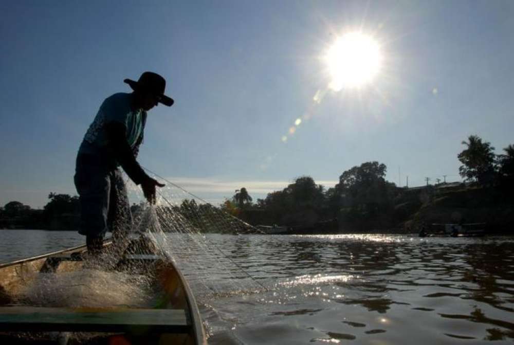 Força-tarefa para zerar a fila de cadastro de pescador é prorrogada