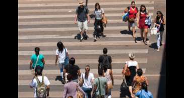 Senado premiará iniciativas de educação para segurança no trânsito