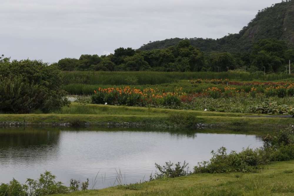 Novo parque em Niterói busca melhorar água e vegetação de lagoa