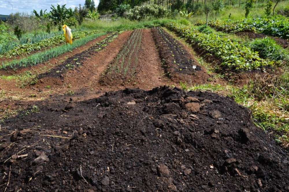 Efeitos negativos de produção de alimentos é quase 10% do PIB global