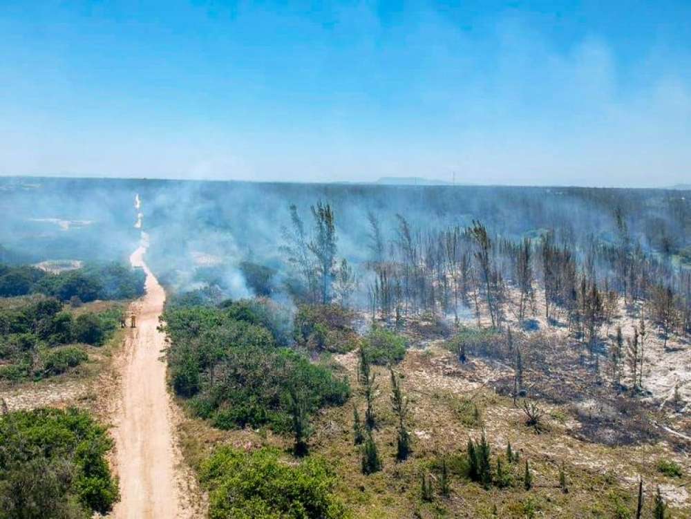 Incêndio atinge parque natural em Arraial do Cabo, no Rio de Janeiro